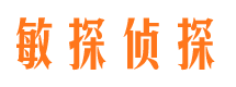 冷湖侦探公司